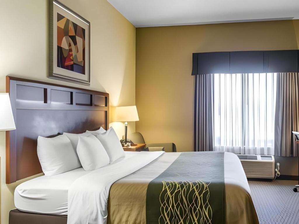 Comfort Inn & Suites Медисънвил Екстериор снимка
