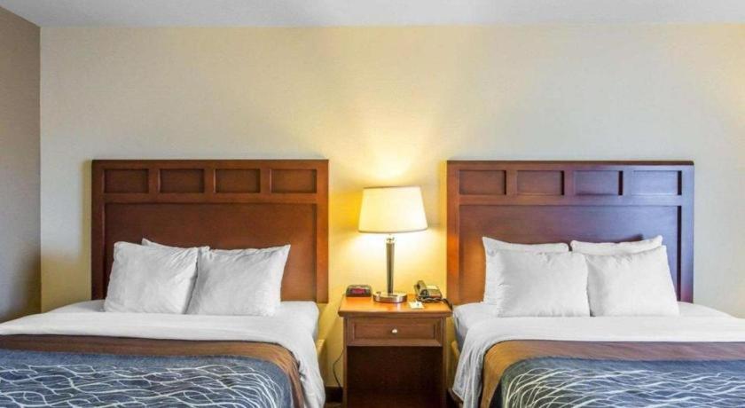 Comfort Inn & Suites Медисънвил Екстериор снимка